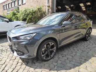 Auto incidentate Cupra Formentor  2024/5