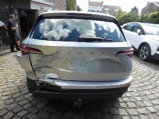 Skoda Karoq Ambition picture 7