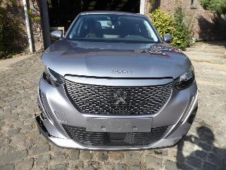 Peugeot 2008 e- Active picture 2
