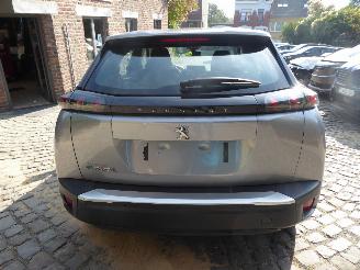 Peugeot 2008 e- Active picture 10