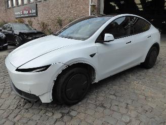 Damaged car Tesla Model Y RWD 2026/6
