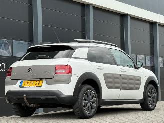 Citroën C4 cactus 1.6 BlueHDi Navi Camera picture 4