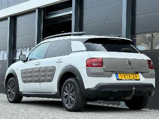 Citroën C4 cactus 1.6 BlueHDi Navi Camera picture 5