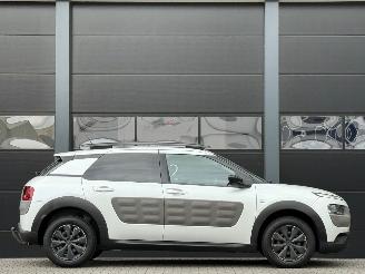 Citroën C4 cactus 1.6 BlueHDi Navi Camera picture 3
