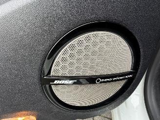 Renault Grand-scenic 1.5 dCi Bose Panorama Camera 7-PERS picture 12