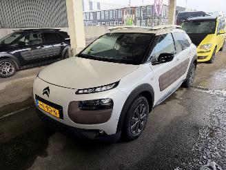  Citroën C4 cactus 1.6 BlueHDi Panorama Camera 2015/11
