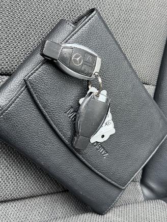 Mercedes E-klasse 220 CDI Aventgarde Camera Xenon picture 13