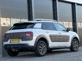 Citroën C4 cactus 1.6 BlueHDi Panorama Camera picture 4