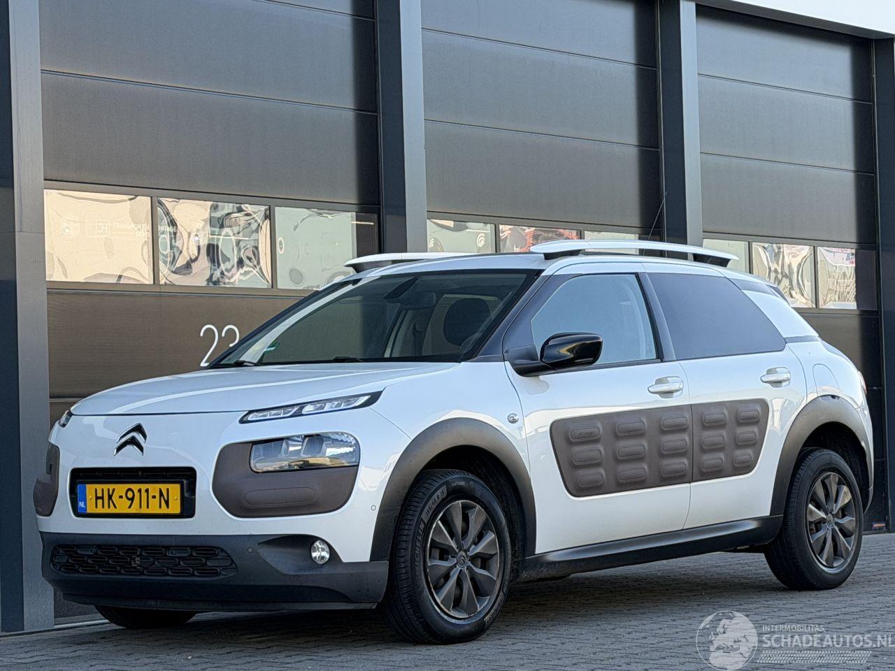 Citroën C4 cactus 1.6 BlueHDi Panorama Camera