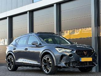 Cupra Formentor 2.0 TSI 4DRIVE 310 PK Pano Leer picture 2