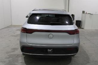 Mercedes EQC  picture 6