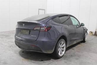 Tesla Model Y  picture 4