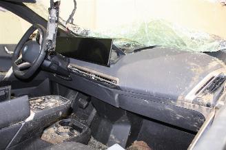 BMW iX  picture 12