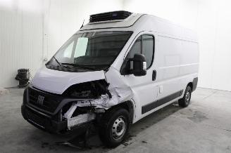 krockskadad bil auto Fiat Ducato  2024/4