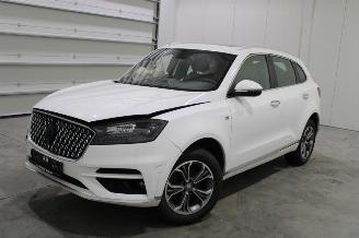 demontáž osobní automobily Borgward BX7 TS 2021/8