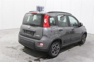 Fiat Panda  picture 3