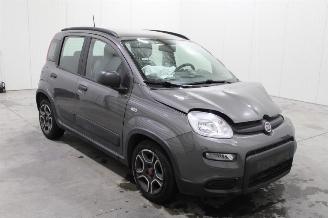 Fiat Panda  picture 2