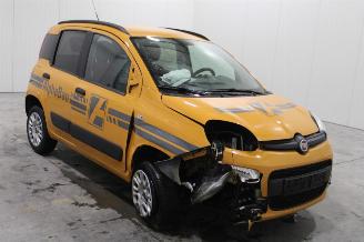 Fiat Panda  picture 2
