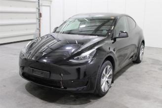 Coche accidentado Tesla Model Y  2024/8