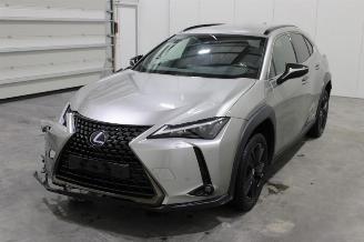 Unfallwagen Lexus UX  2021/5
