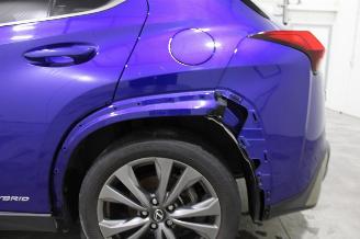 Lexus UX  picture 8
