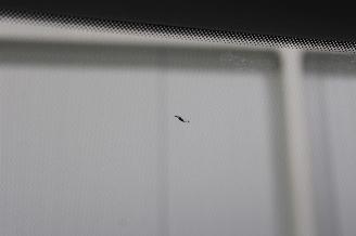 Volkswagen ID.Buzz  picture 20