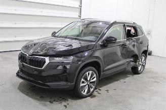 Damaged car Skoda Karoq  2024/7