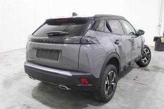 Peugeot 2008  picture 3