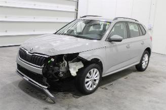 Auto incidentate Skoda Kamiq  2019/12