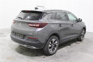 Opel Grandland X picture 3