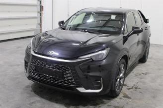 Avarii autoturisme Lexus LBX  2024/4