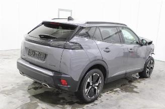 Peugeot 2008  picture 3