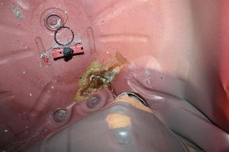 Ford Fiesta  picture 20