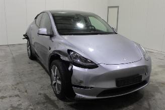Tesla Model Y  picture 2