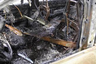 BYD Seal U  picture 11