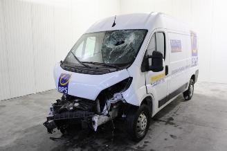 skadebil auto Opel Movano  2022/12