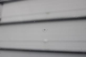 Nissan Interstar  picture 20