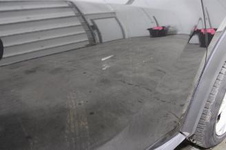 Nissan Juke  picture 6