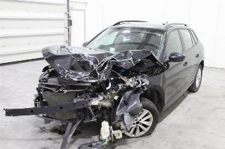 Skoda Kamiq  picture 1