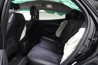 Ford Mustang Mach-e  picture 11