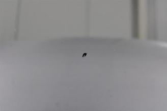 Hyundai I-10 i10 picture 25