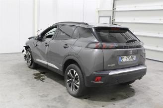 Peugeot 2008  picture 4