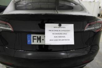 Tesla Model 3  picture 20