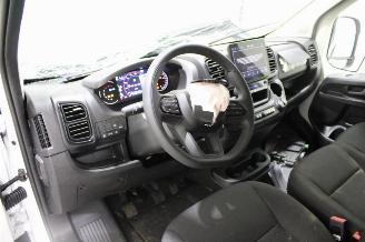 Fiat Ducato  picture 10