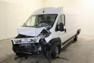 Voiture accidenté Fiat Ducato  2025/10