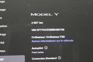 Tesla Model Y  picture 12