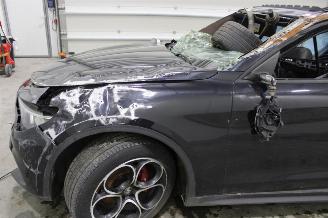 Alfa Romeo Stelvio  picture 6