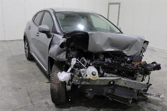 Ford Puma  picture 2