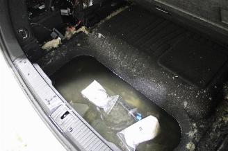 Volkswagen Passat  picture 16