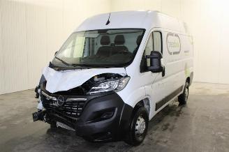 skadebil motor Opel Movano  2023/6